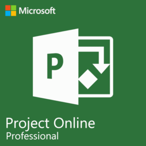 Microsoft Project Plan 1