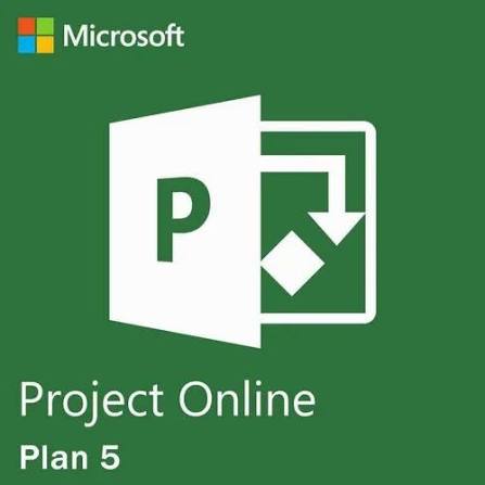 Microsoft Project Plan 5