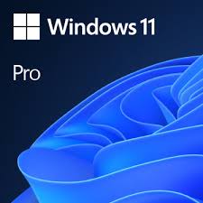 Windows 11 Pro – Business License